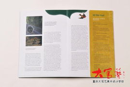 設(shè)計(jì)師Carolina Medeiros的書籍設(shè)計(jì)藝術(shù)及其對(duì)室內(nèi)外平面圖文設(shè)計(jì)的啟示——以重慶、成都家裝飾設(shè)計(jì)師培訓(xùn)為參考